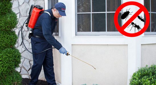 Mazgirt Dezenfeksiyon böcek ilaçlama ve haşere kontrolü — ilaclama-tr.com